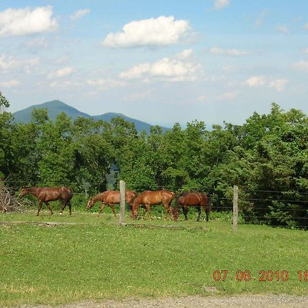 Bent Mountain Lodge Ρόανοκ Εξωτερικό φωτογραφία