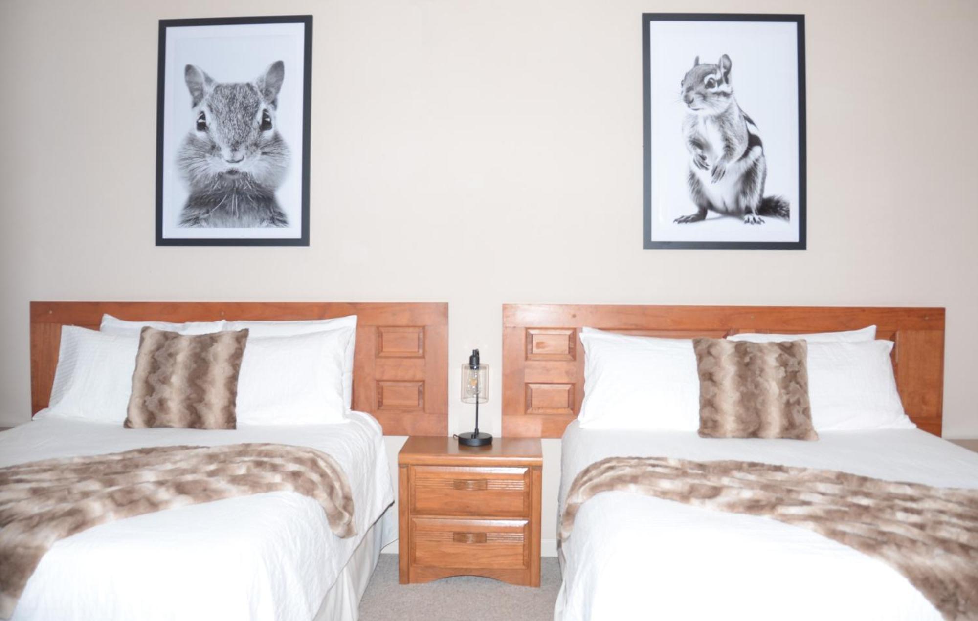 Bent Mountain Lodge Ρόανοκ Εξωτερικό φωτογραφία
