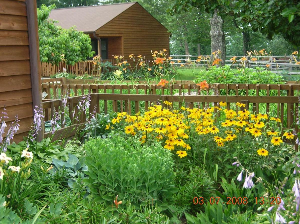 Bent Mountain Lodge Ρόανοκ Εξωτερικό φωτογραφία